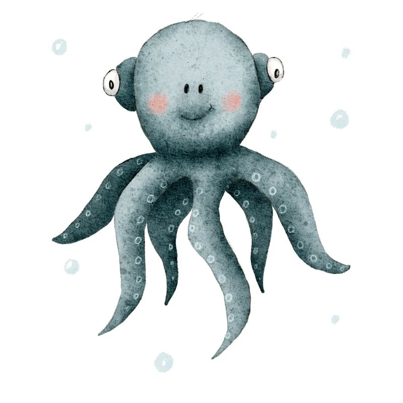 Octopus squid, cute sea creatures