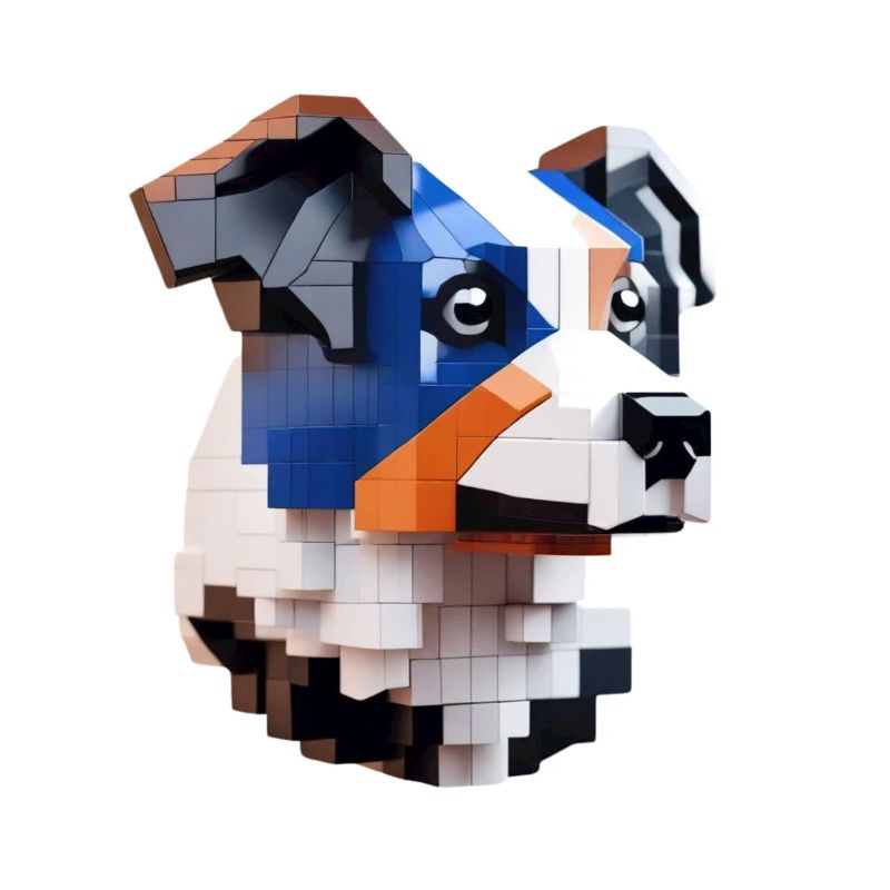 Border Collie Kunst