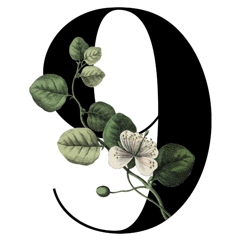 Nummer 9 Blumengrün -9. Blumengeburtstag