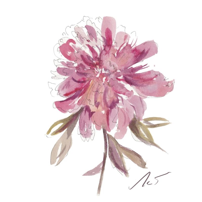 Peony Heart