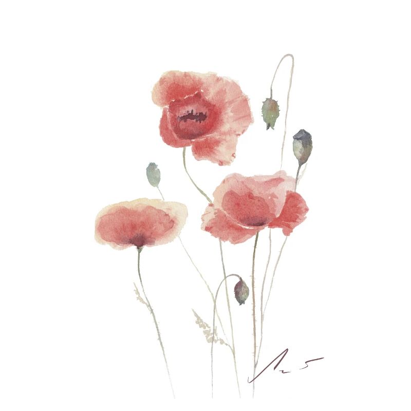 Poppies dancing in the wind.