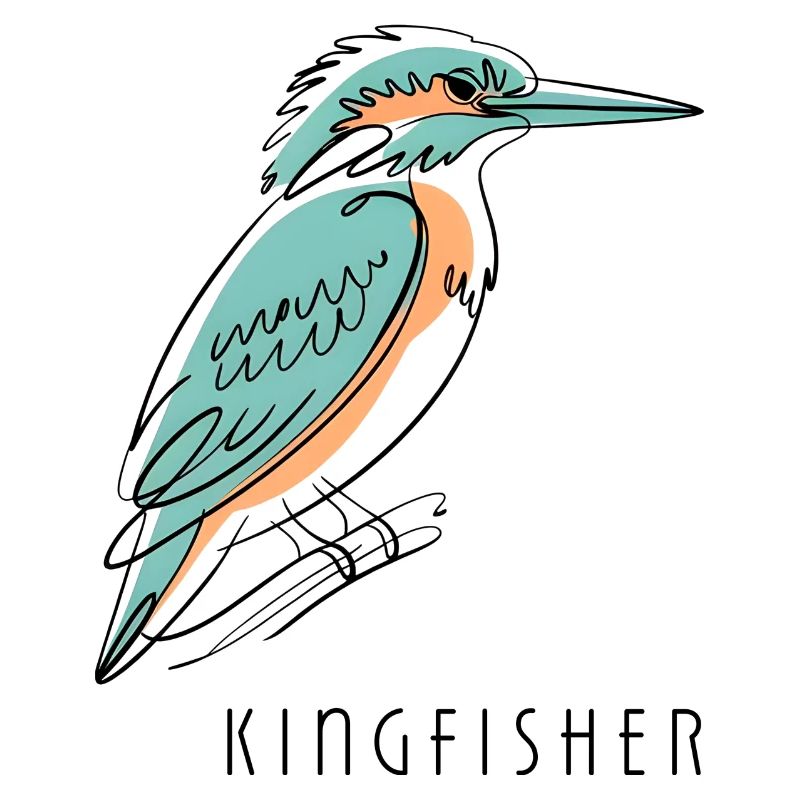 Martin-pêcheur Eisvogel