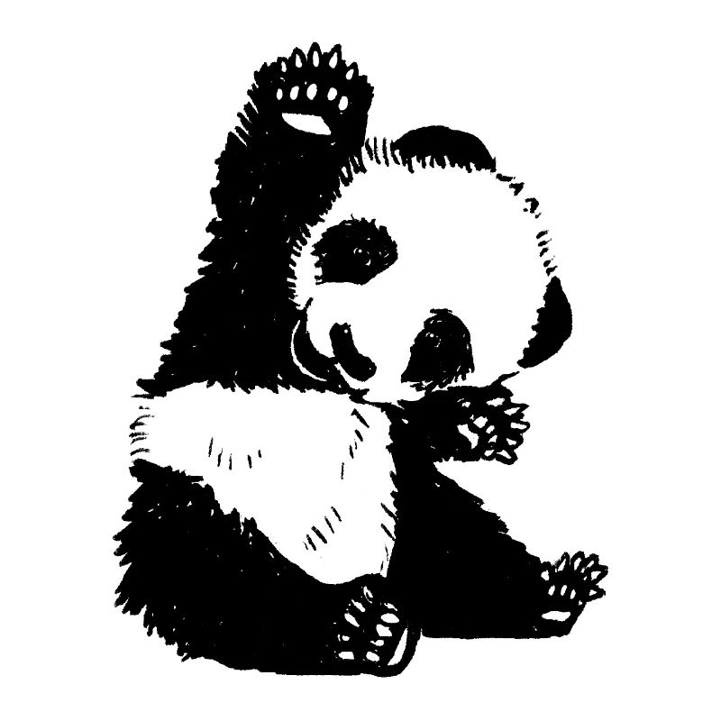 High Five Bébé Panda