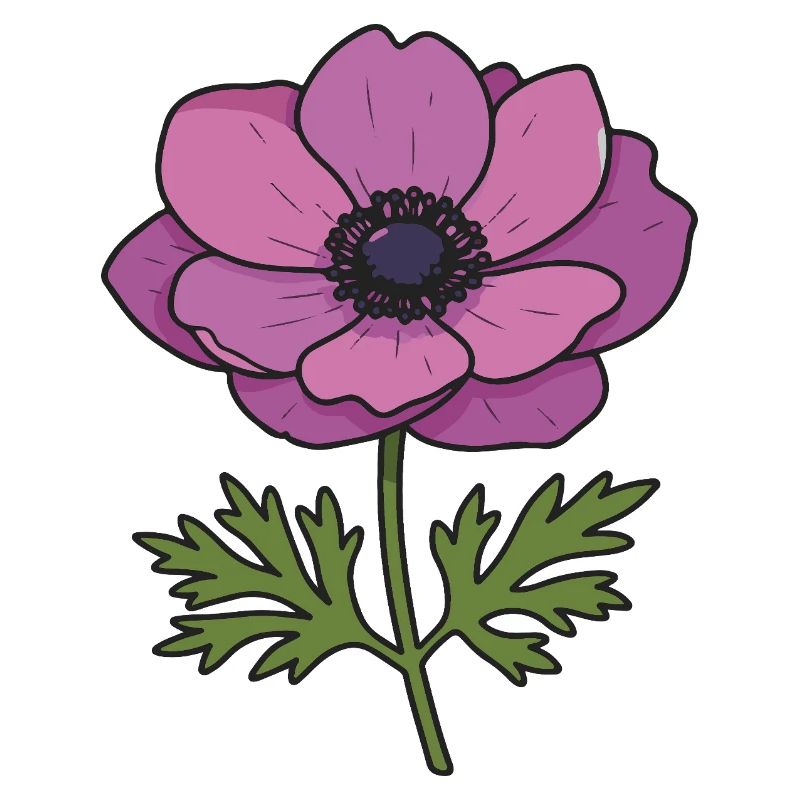 Anemonenblüte