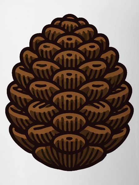 Pomme de pin