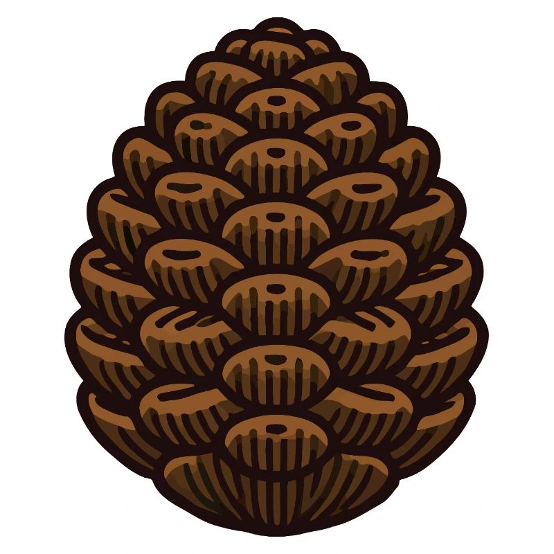 Pomme de pin