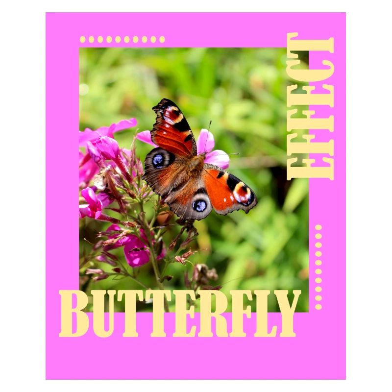 Conception de photos à effet papillon