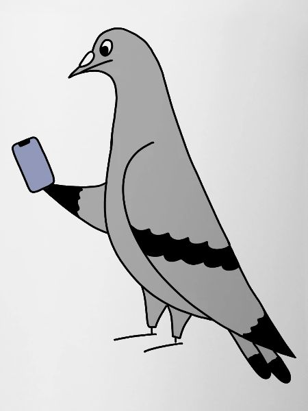 Pigeon Checking Phone – Minimal Illustration