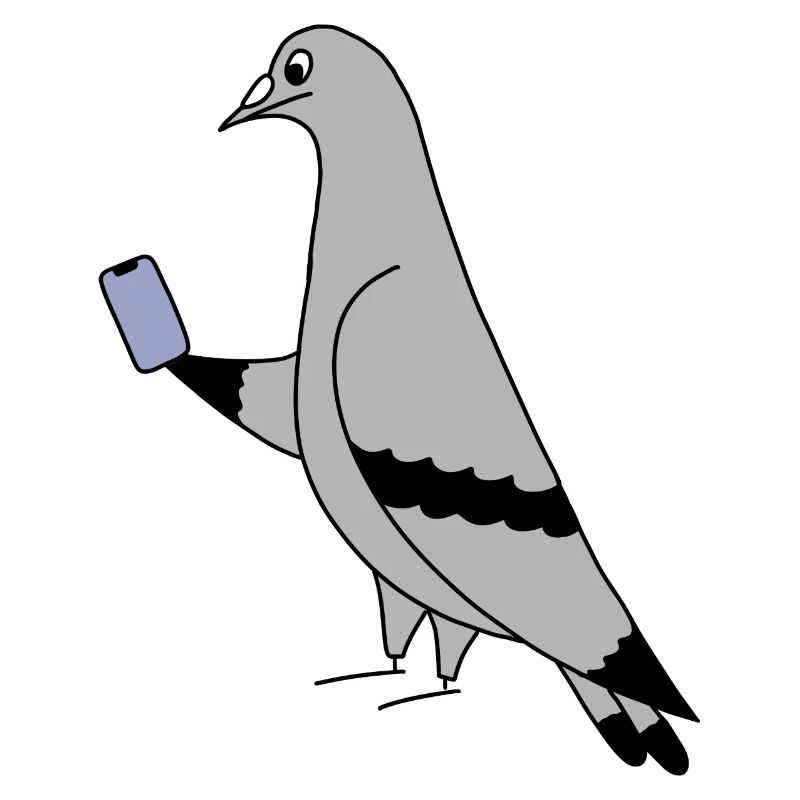 Pigeon Checking Phone – Minimal Illustration