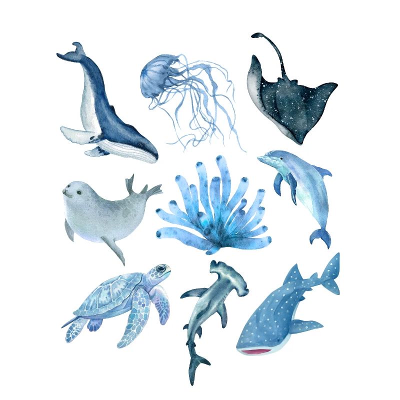 Animaux de l’océan