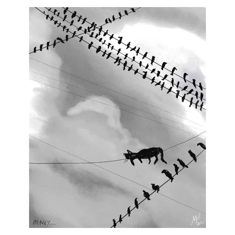 Chat monochrome sur lignes électriques