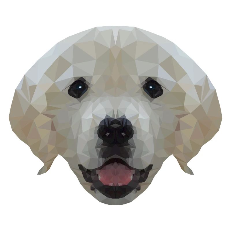 Chien Labrador Polygone