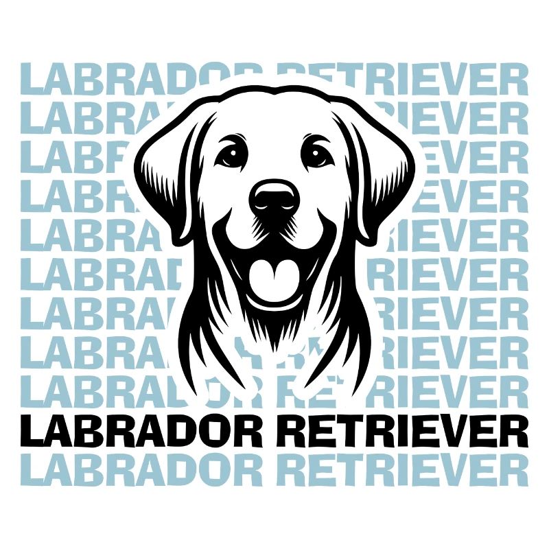 Labrador Drawing Head