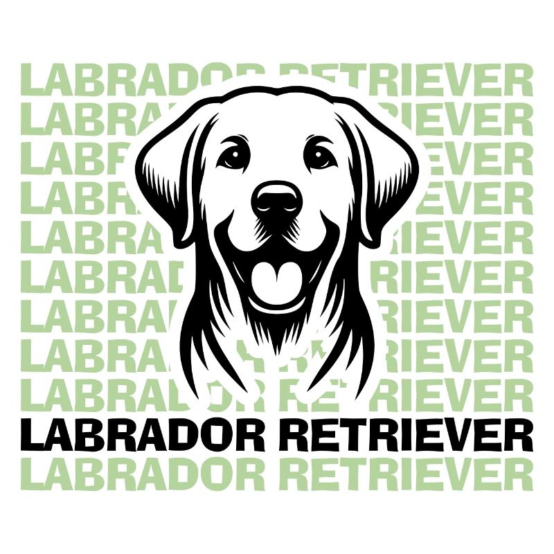 Labrador Drawing Head