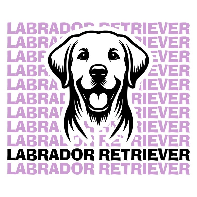 Labrador Drawing Head