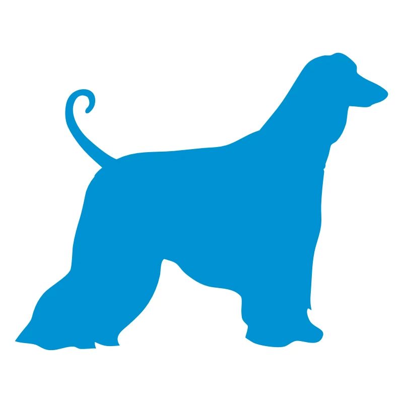 Afghanischer Windhund