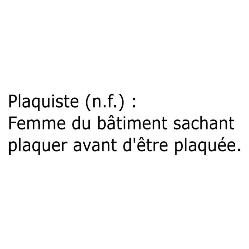 Plaquiste définition