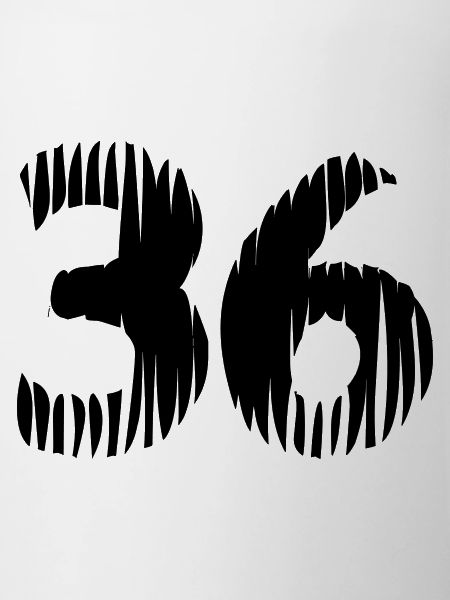 36 Number jersey