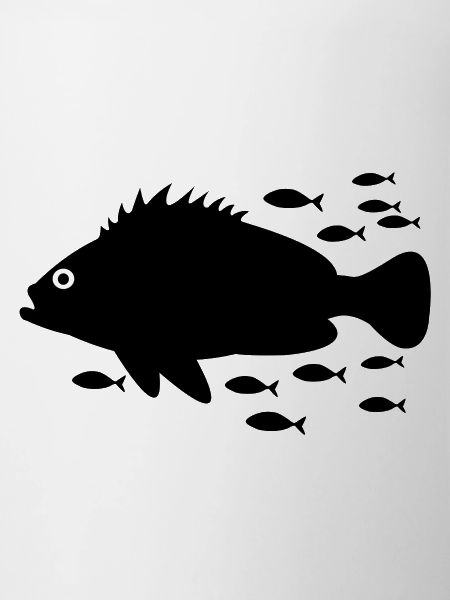 Poisson Mérou