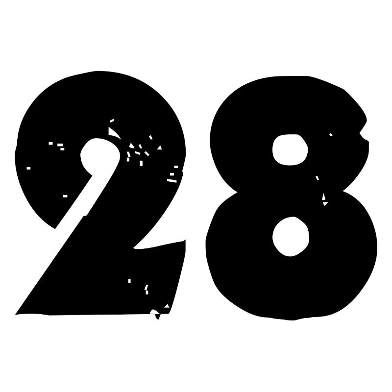 Nombre 28