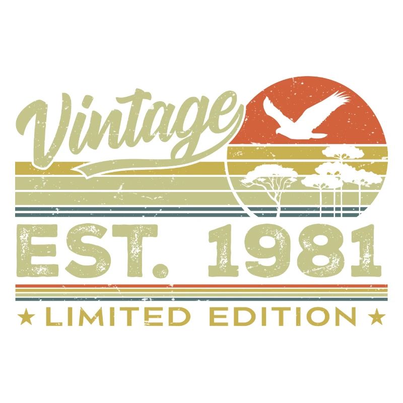 Vintage 1981 Awesome Since 1981 Gift 1981 Retro