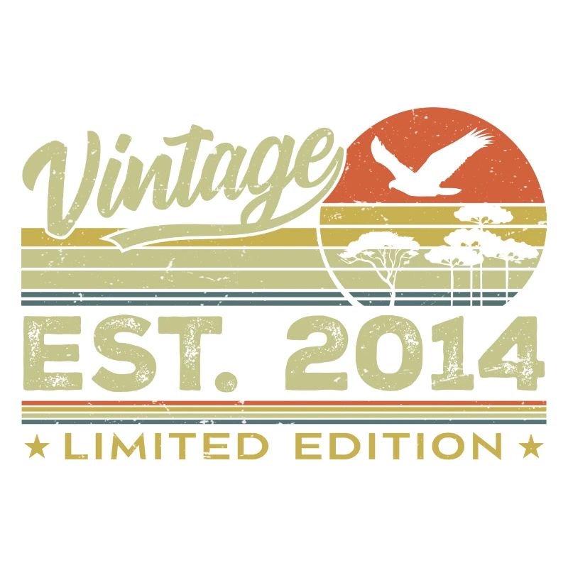 Vintage 2014 Awesome Since 2014 Gift 2014 Retro