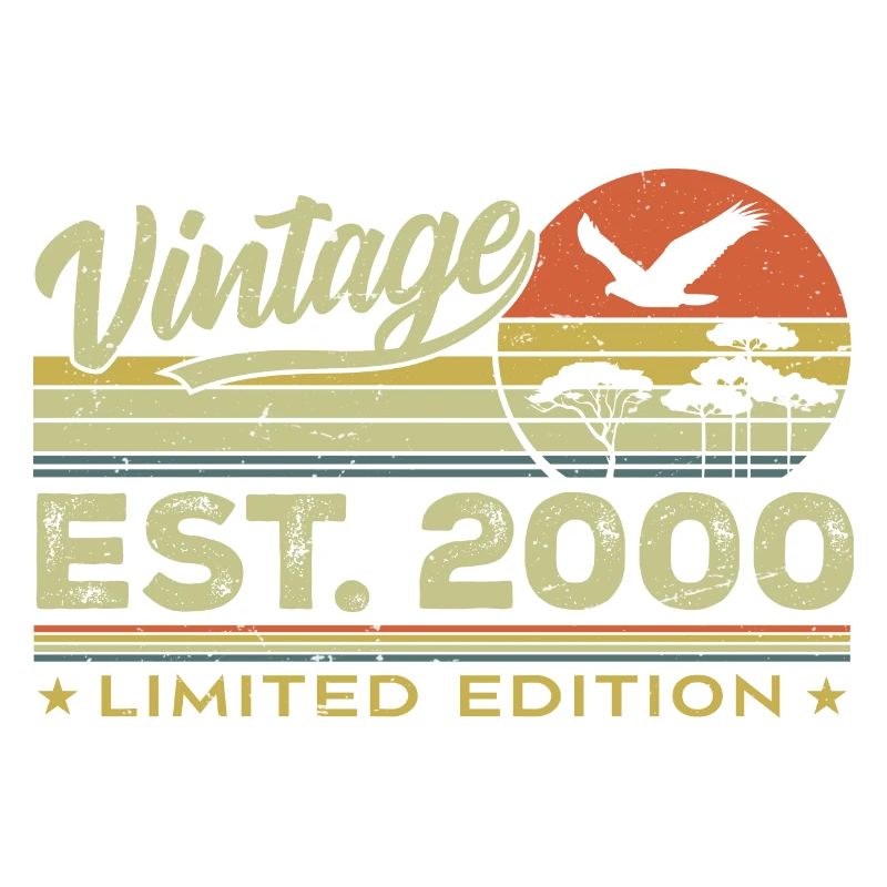 Vintage 2000 Awesome Since 2000 Gift 2000 Retro