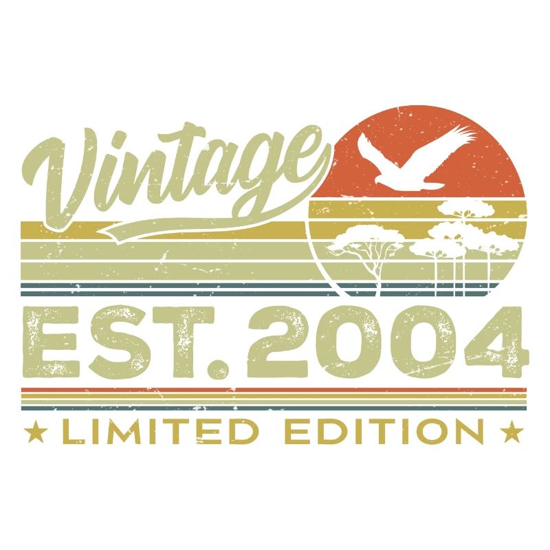 Vintage 2004 Awesome Since 2004 Gift 2004 Retro