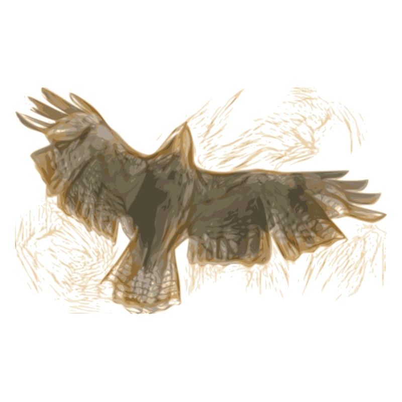 oiseau de proie