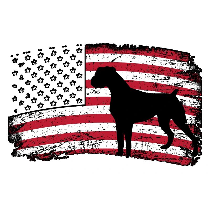 Boxer États-Unis