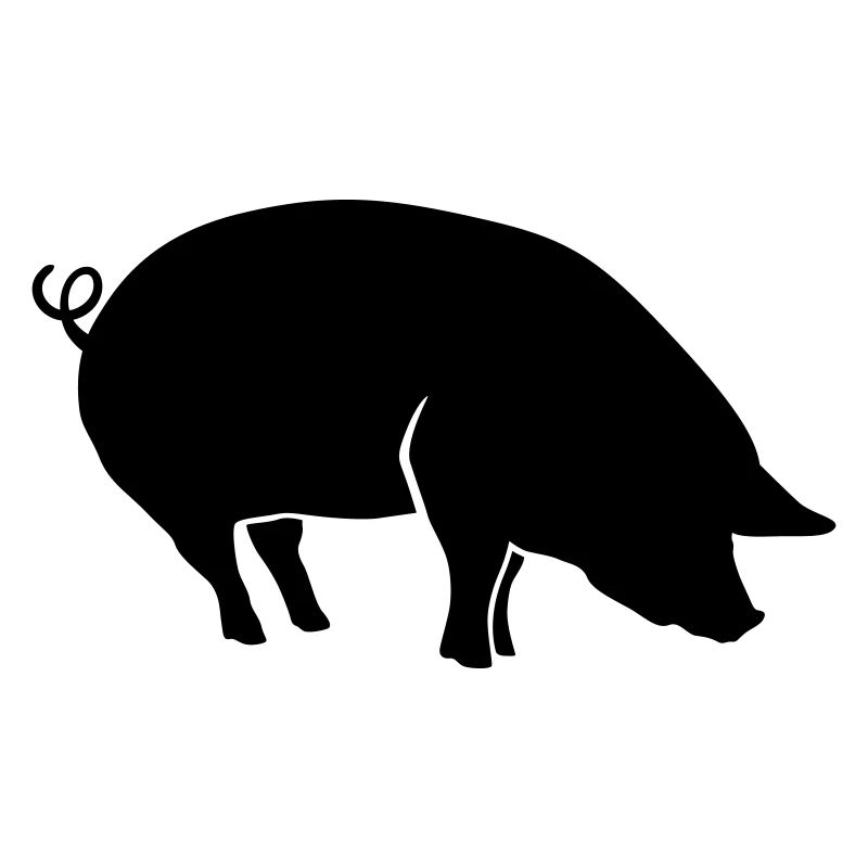 Schwein Tier