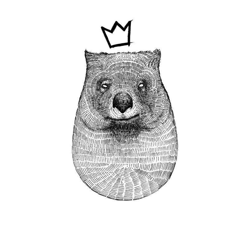 Roi Wombat