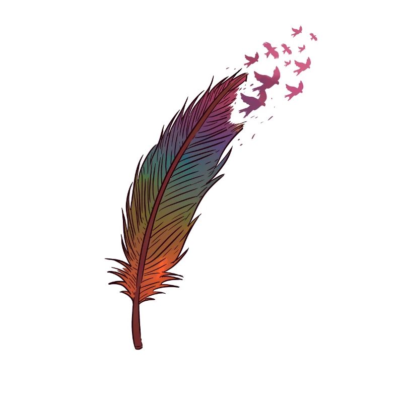 Plumes et oiseaux oiseaux