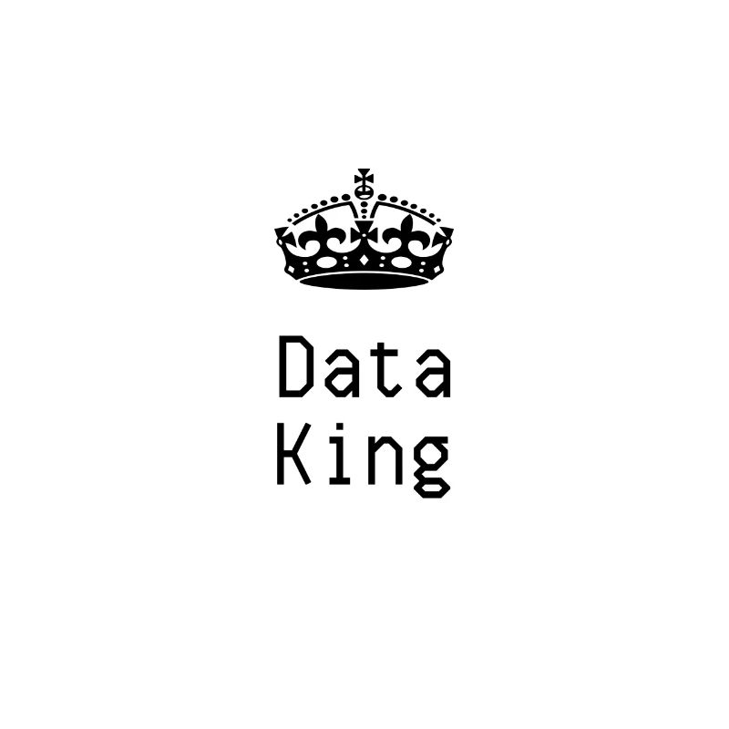 Data King Gift Digital World Nerd T-Shirt