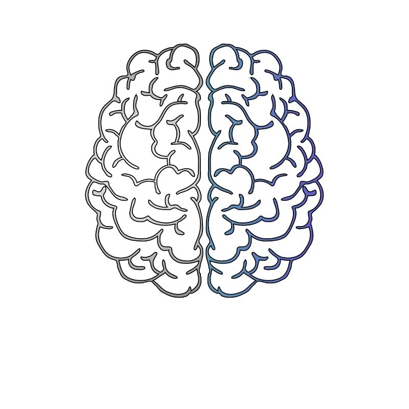 cerveau
