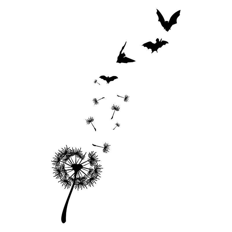 Fledermaus Pusteblume