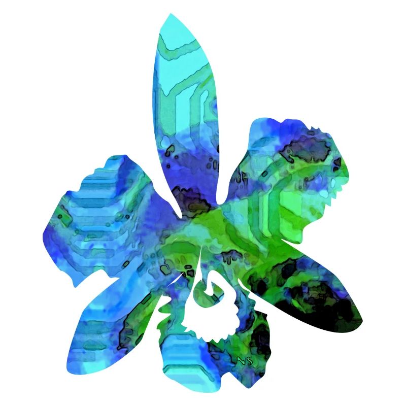 Orchidée fantôme