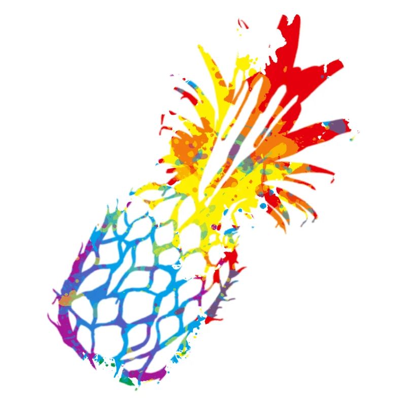 Colorful Pineapple