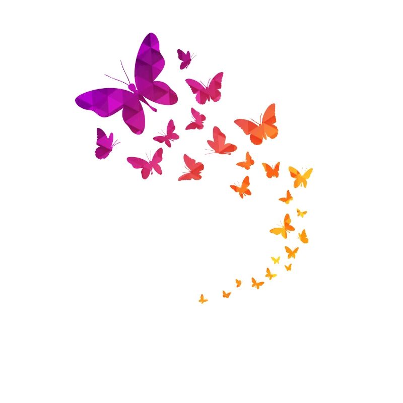 Butterflies Geometric