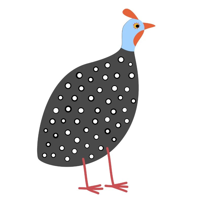 Guinée Hen 2
