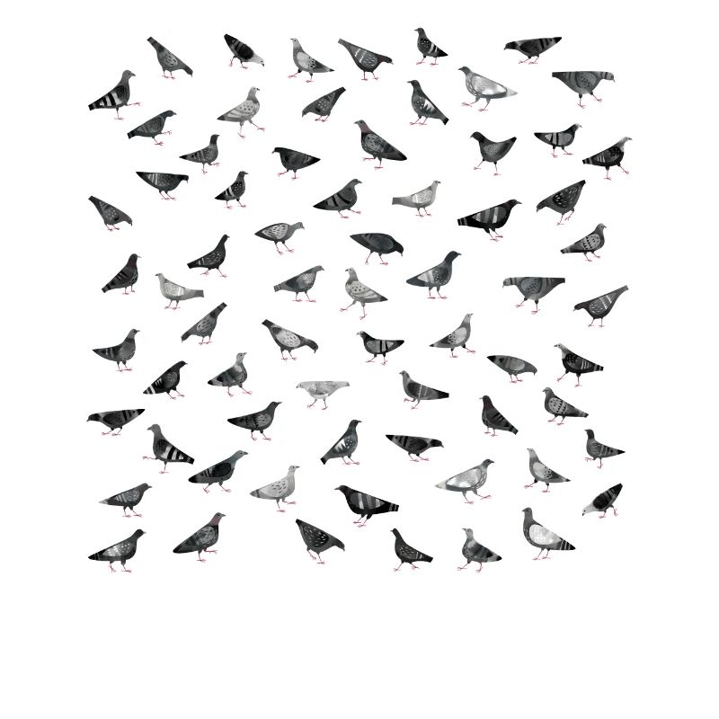 Pigeons Doing Pigeon Things