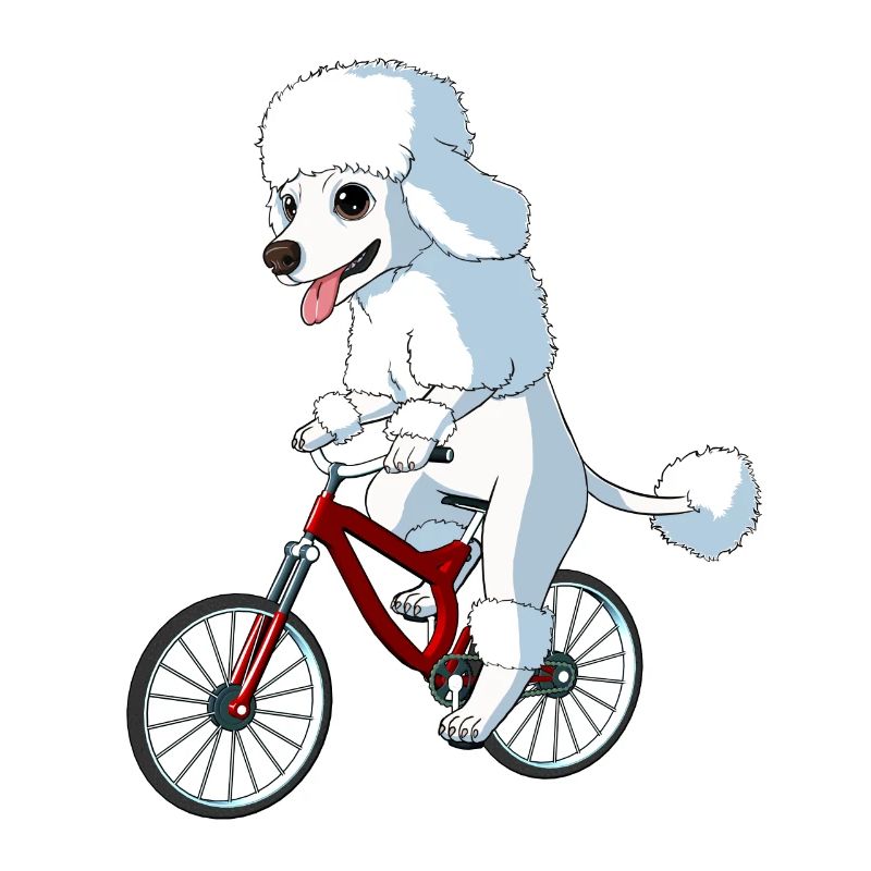 Chien caniche sur un vélo