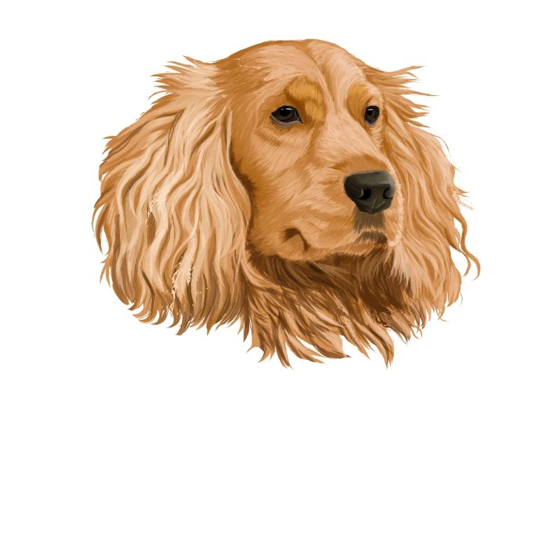 Cocker Spaniel