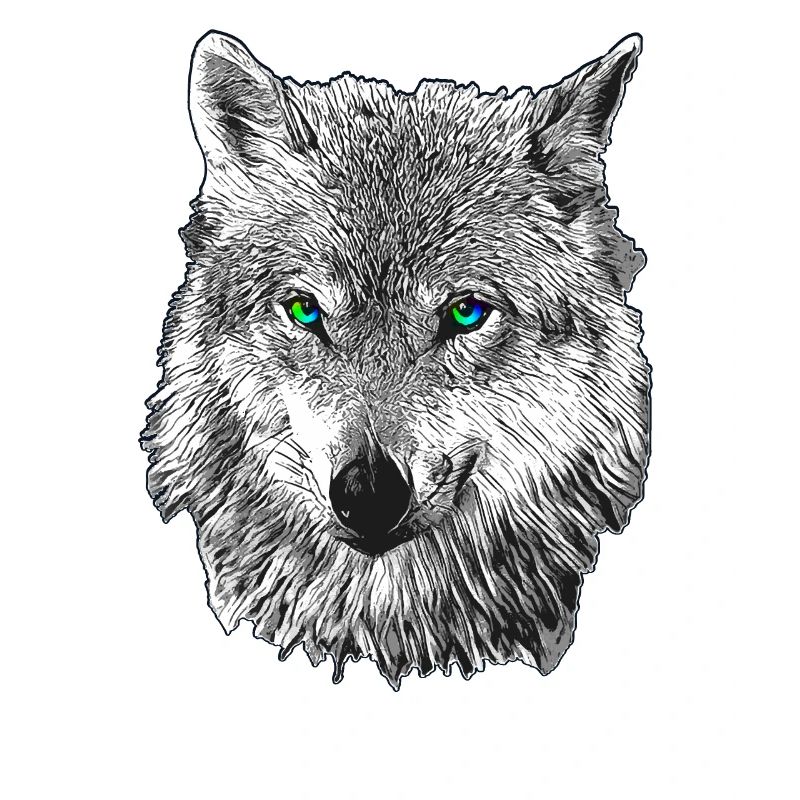 Wolf