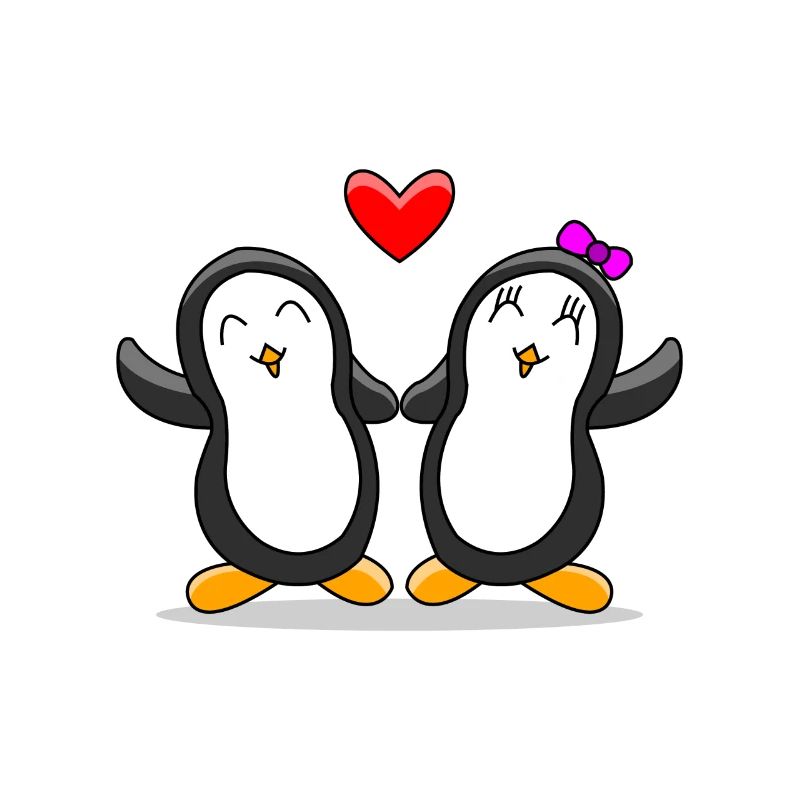 Pinguin Paar