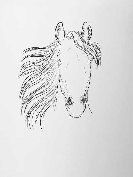 Pferd