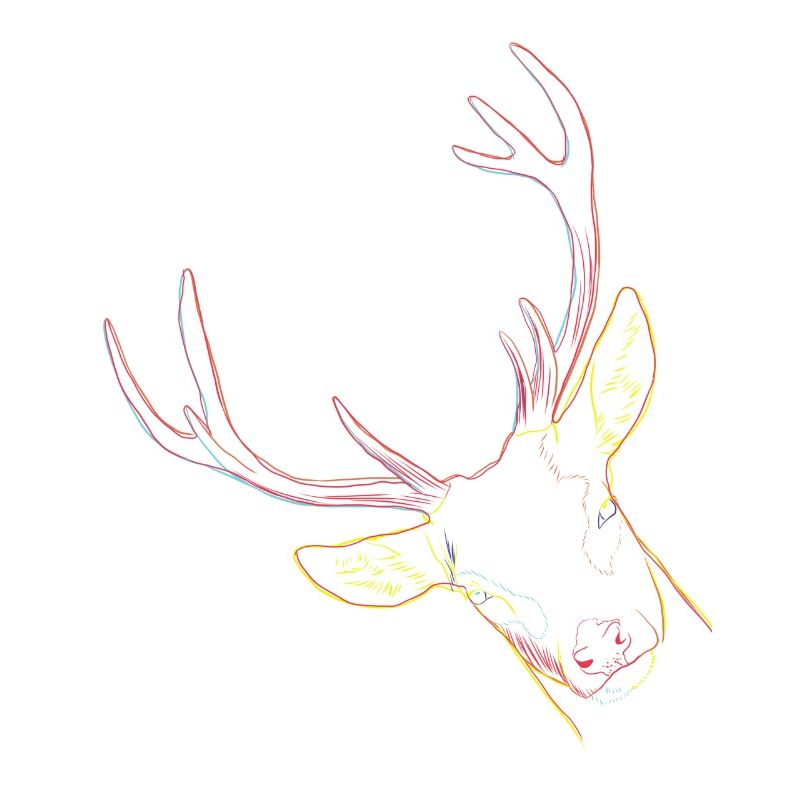 Hirsch
