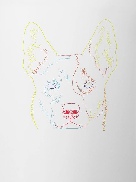 Dog Australian Cattle Dog Strokes