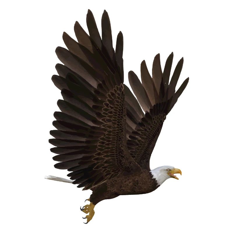 Adler
