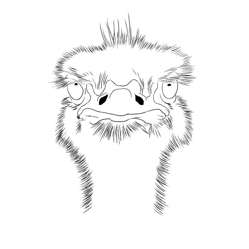 Autruche Portrait